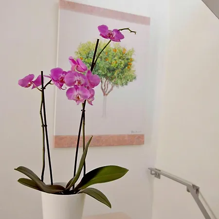 Venetian House بيت للعطل