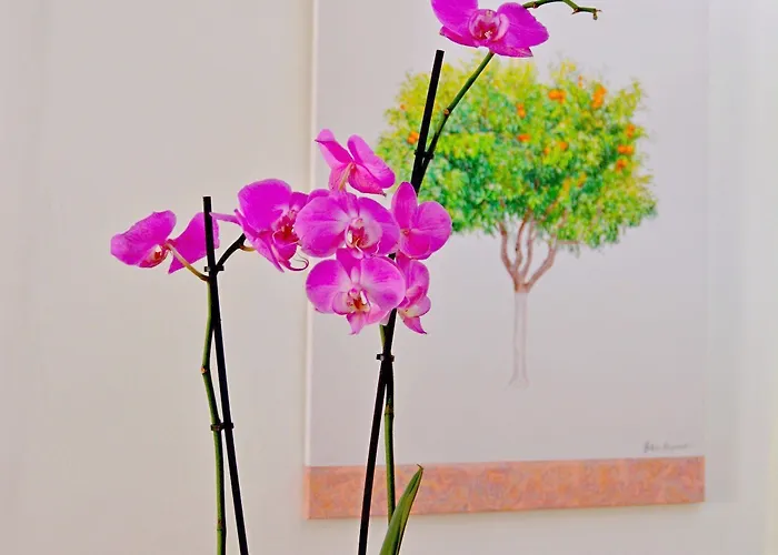 別荘 Venetian House