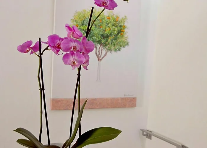 Venetian House Holiday home