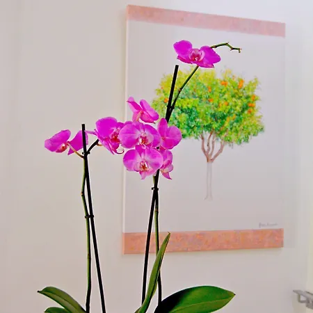 Σπίτι διακοπών Venetian House