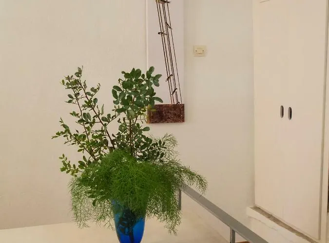 Venetian House Casa vacanze *